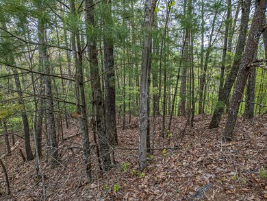 LOT 33 Mahoosec Trail, Mineral Bluff, GA 30559 - photo 7