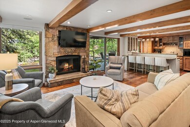 1034 E Cooper Ave unit 16A, Aspen, CO 81611 - photo 5