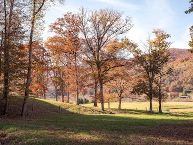 7456 A P Carter Hwy, Hiltons, VA 24258 - photo 7