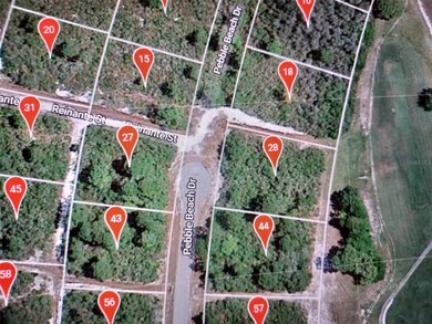 5062 Pebble Beach Dr, Sebring, FL 33872 - photo 3