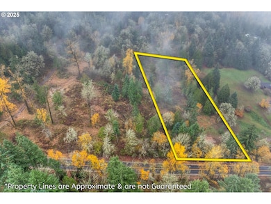 0000 Grimm Rd, Kelso, WA 98626 - photo 5