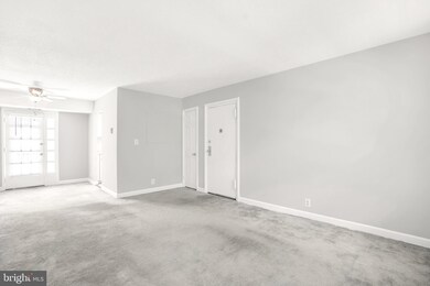 2932 S Columbus St unit B1, Arlington, VA 22206 - photo 3