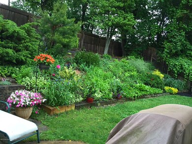 back yard