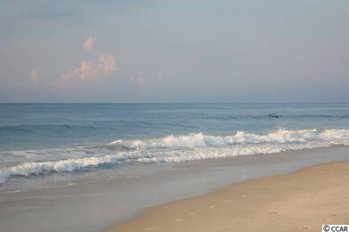 306 Copperwood Loop unit Oak, Conway, SC 29526 - photo 6