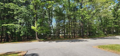 18 Joston Dr, Merrimack, NH 03054 - photo 4