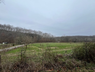 000 Walnut Grove Rd, Waynesboro, TN 38485 - photo 4
