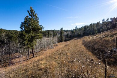 Lot 43 Golden Hills Dr, Sturgis, SD 57785 - photo 7