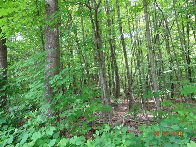 00 Old Swanzey, Chesterfield, NH 03443 - photo 2