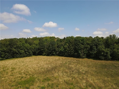 0 Ramey Rd, New Lisbon, NY 13411 - photo 5