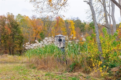 10524 Kleski Rd SE, Uhrichsville, OH 44683 - photo 4