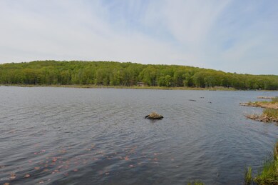 Lot 20 E Shore Dr, Lords Valley, PA 18428 - photo 2