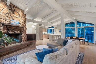 1650 Homestake Dr, Aspen, CO 81611 - photo 4