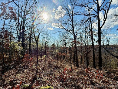 0 S 4547 Rd unit 2548088, Vian, OK 74962 - photo 2