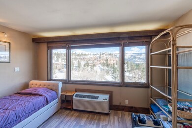Tamarron Condos unit 302, Durango, CO 81301 - photo 3
