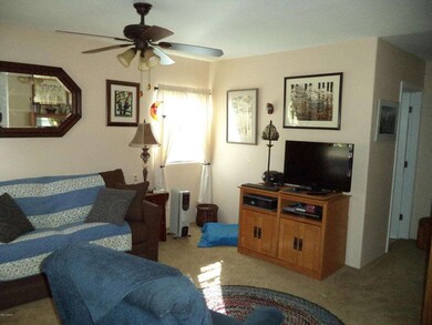 154 OCOTILLO 007