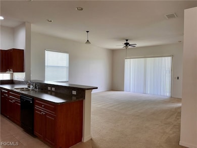 2669 Blue Cypress Lake Ct, Cape Coral, FL 33909 - photo 7