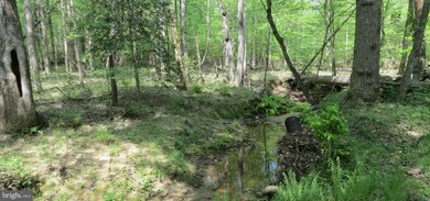 29408 Mine Run Rd, Unionville, VA 22567 - photo 7