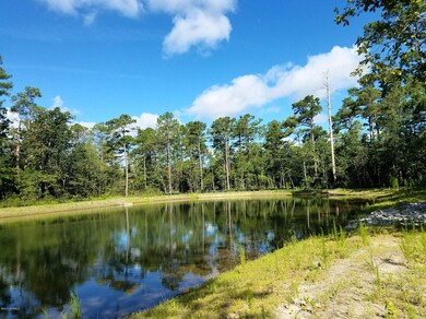 Pond