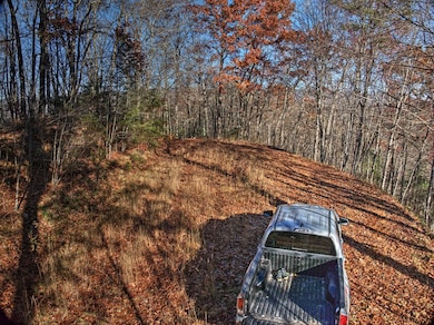 324 Little Bear Rd, Bryson City, NC 28713 - photo 4