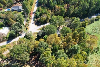 105 Moores Valley Rd, Leicester, NC 28748 - photo 3