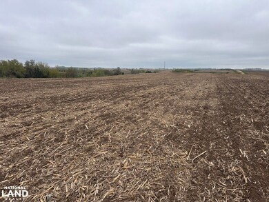 3576 Road T, David City, NE 68632 - photo 6