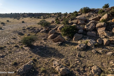 137 Acr 8461, Concho, AZ 85924 - photo 7