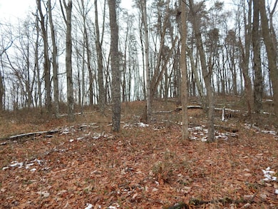 00 Seckman Ridge, St. Marys, WV 26170 - photo 7