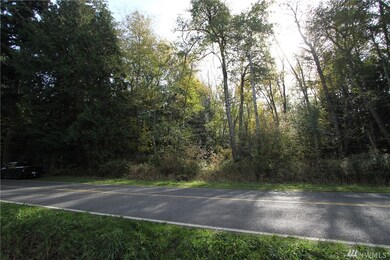 0 Benson Rd, Point Roberts, WA 98281 - photo 2