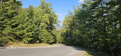 Lot 561 Bluff View Dr, Dunlap, TN 37327 - photo 7