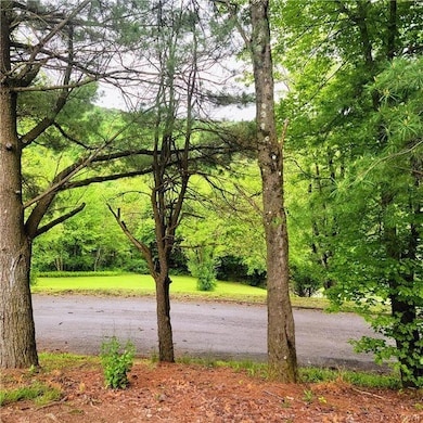 View from front