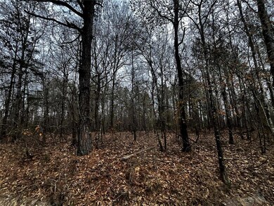 0 Tbd Silverside Rd, Watson, OK 74963 - photo 3