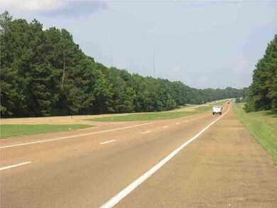 view looking south