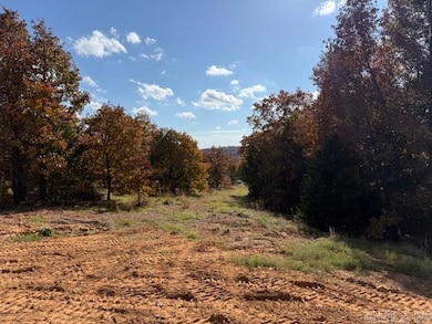 90 Summer Sky Dr, Greenbrier, AR 72058 - photo 3