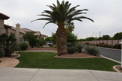 Front Yard