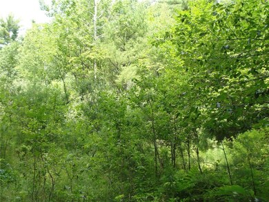 0 S South Bridgton Rd unit 1320484, Bridgton, ME 04009 - photo 6