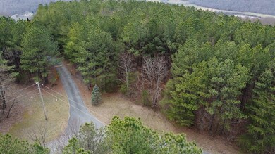 2.3 acre Sunset Rd, Spencer, TN 38585 - photo 4