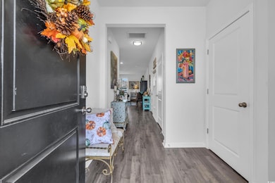 Foyer featuring dark wood-type flooring