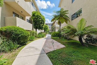 Garden area