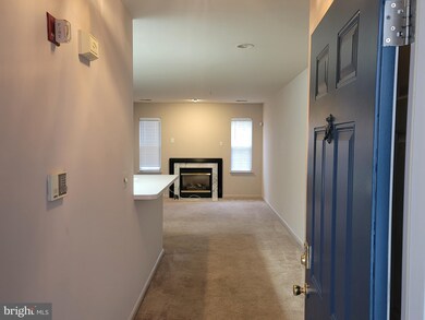 5004 Willow Branch Way, Owings Mills, MD 21117 - photo 3