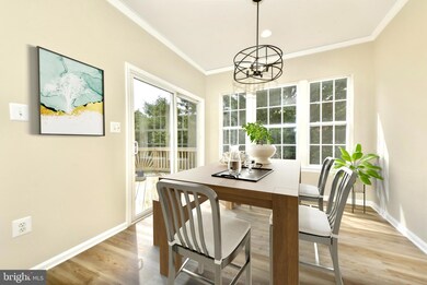 42825 Shaler St, Chantilly, VA 20152 - photo 6