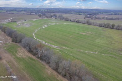 0 Lanier Rd, Alamo, TN 38001 - photo 6