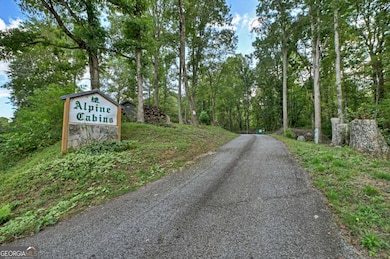 77 Alpine Way, Blairsville, GA 30512 - photo 2