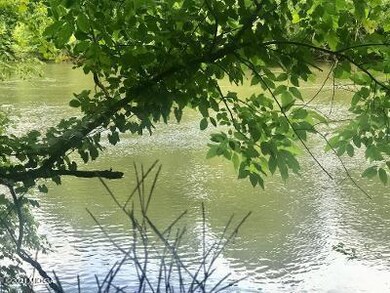 river bank2