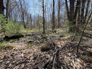 MR7L96C Scarlet Way, Lebanon, ME 04027 - photo 5