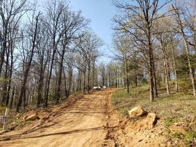 15562 Low Gap Rd, West Fork, AR 72774 - photo 3