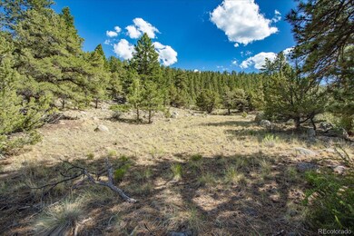 000 Oppliger Dr, Nathrop, CO 81236 - photo 7