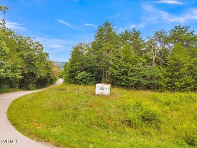 175 Miller Rd - 5