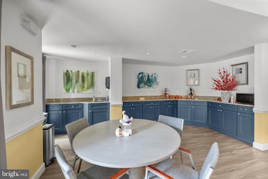 2905 Saintsbury Plaza unit 315, Fairfax, VA 22031 - photo 6