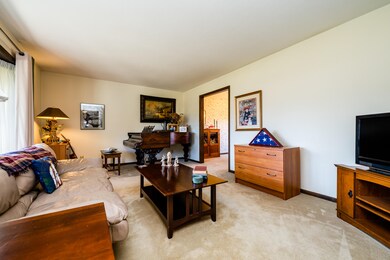 Tanbark-302