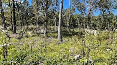 00 Harts Bridge Rd, Jackson, TN 38301 - photo 2